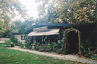 hidforest
